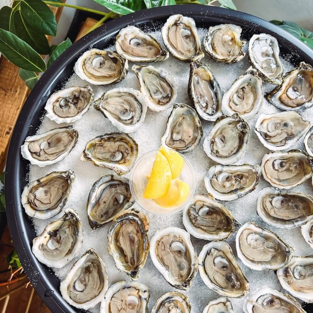 Shucked Oysters.