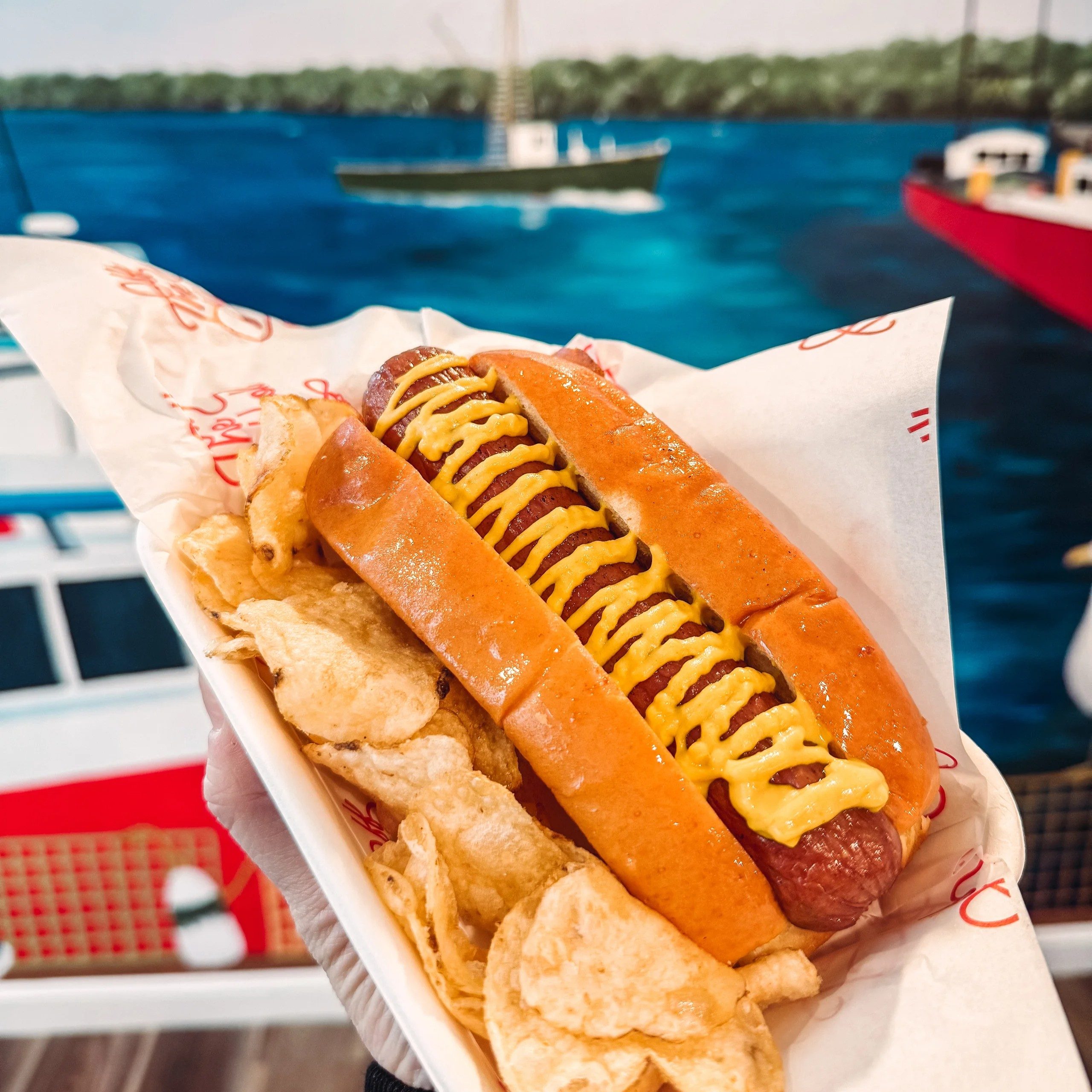 Hot Dog & Chips.